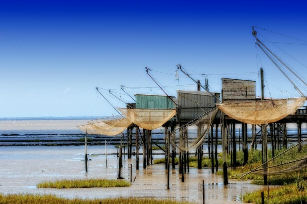 carrelet gironde bizet